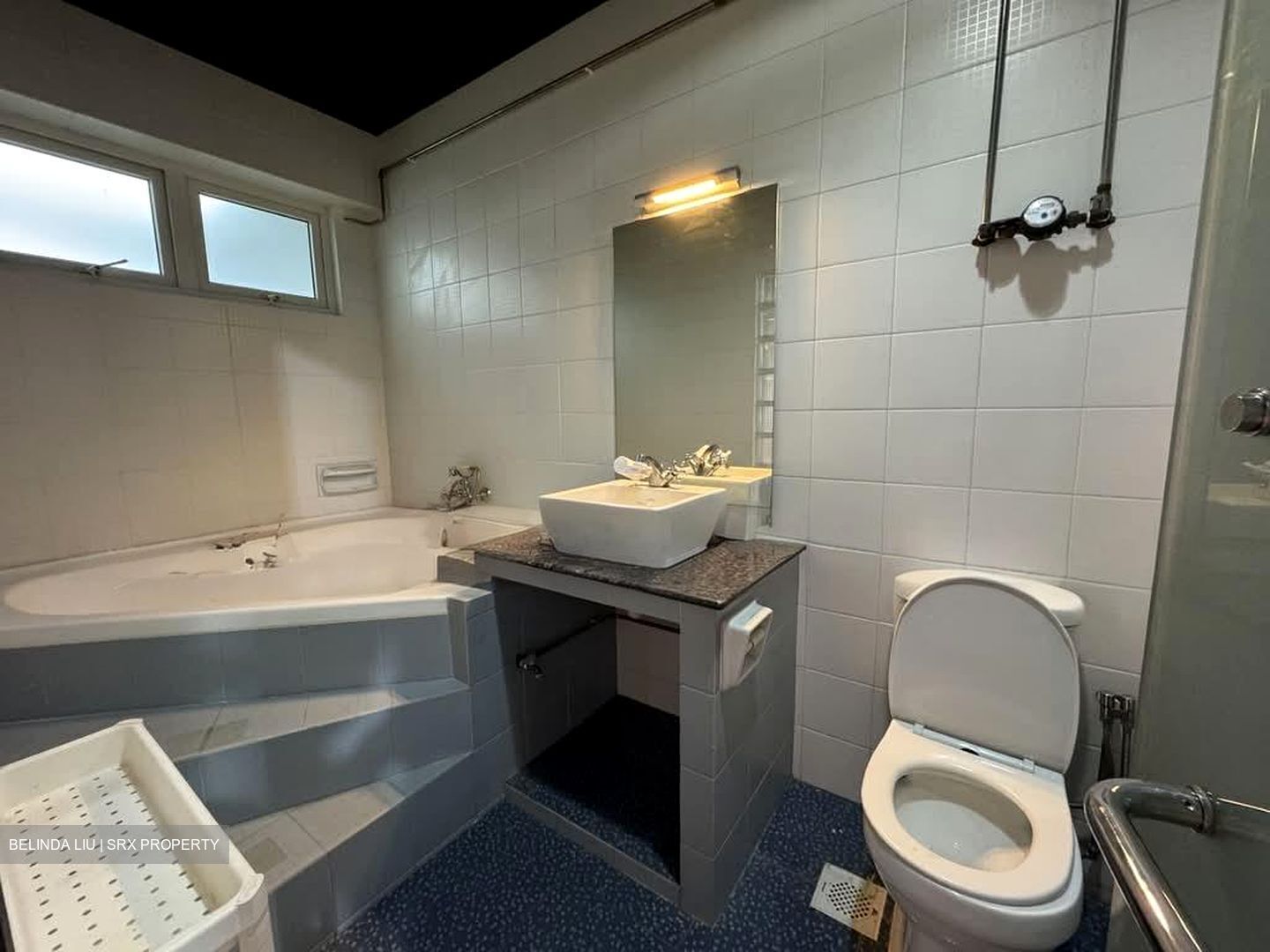 Bukit Timah Road (D10), Apartment #532531411